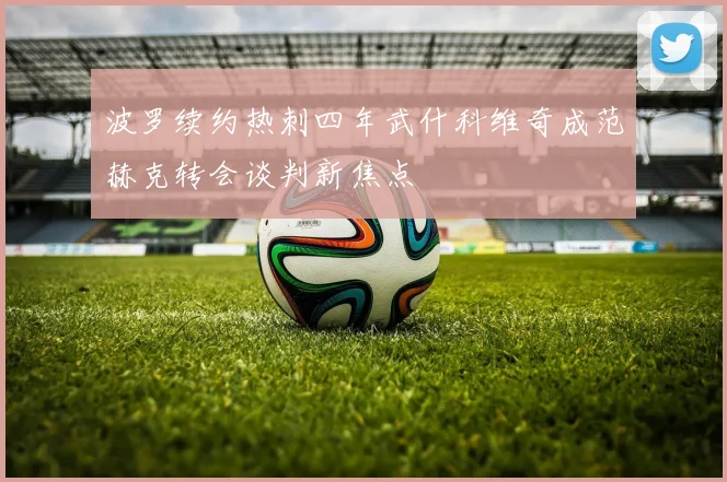 波罗续约热刺四年武什科维奇成范赫克转会谈判新焦点