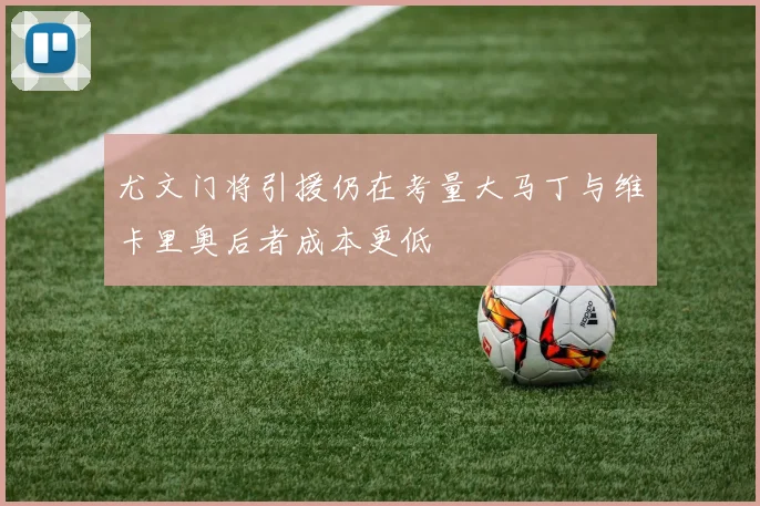 尤文门将引援仍在考量大马丁与维卡里奥后者成本更低